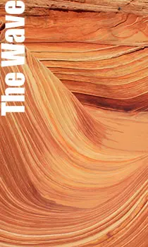 The Wave tour